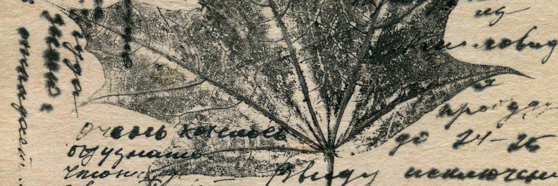 Bild mit stilisierter Tuschezeichnung im Impressum vom Netzwerk Fortbildung Sigmaringen